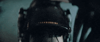 H-D Sport GIF by Harley-Davidson