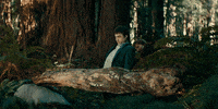 daniel radcliffe GIF by A24