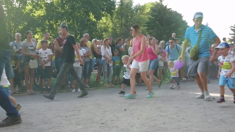 Nikita95 giphyupload GIF