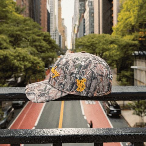 Head Hat GIF by VeeFriends