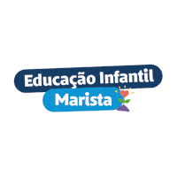 Maristasaoluis Sticker by Marista Centro Norte