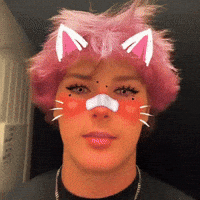 Bruce Lee Kitten GIF