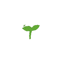 Nct Dream Wayv Sticker