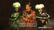 Saturday Night Live Halloween GIF by Peacock