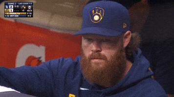 Milwaukee Brewers Sport GIF by MLB