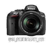 Nikoninstabadge D5300 Sticker by NikonIndia