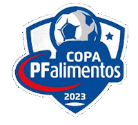 Futbol Pelota Sticker by LincolnCollegeChile