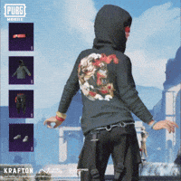 Battle Royale Battlegrounds GIF by Official PUBG MOBILE