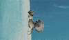ice age movie s GIF