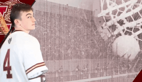 Roll Pards GIF by Lafayette Leopards