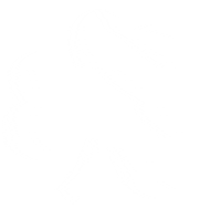 St Patricks Day Irish Sticker