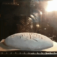 justviralnet wow win best awesome GIF