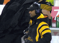 Angry Tiger-Cats GIF