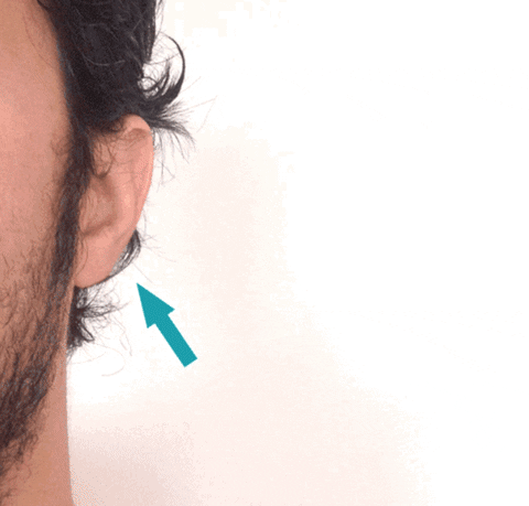 eardial GIF by Product Hunt
