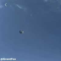 Wind Umbrella GIF