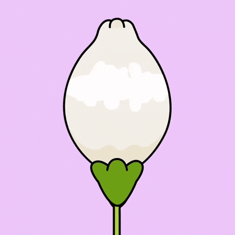 Good Morning Hello GIF by FROSTYS