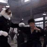 Kung Fu Fight GIF