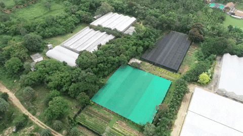 aksara giphyupload GIF