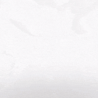 Hockey Home GIF by Eisbären Berlin