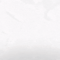 Hockey Home GIF by Eisbären Berlin