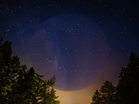 Germany Wow GIF by FranchiseCHECK.de