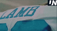 Dallas Cowboys GIF by The Undroppables
