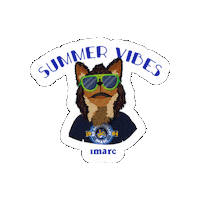 Summer Lynx Sticker by IMARC HERMOSILLO