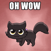 Oh My God Wow GIF by Créu Cat