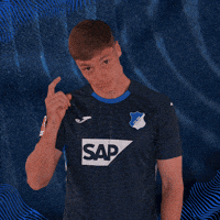 Sport Bundesliga GIF by TSG Hoffenheim