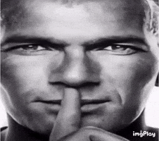 Zinedine Zidane GIF