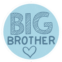 Big Brother Baby Sticker