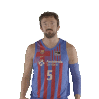 Fc Barcelona Basketball Sticker by ACB