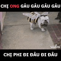 lozico lozihn GIF