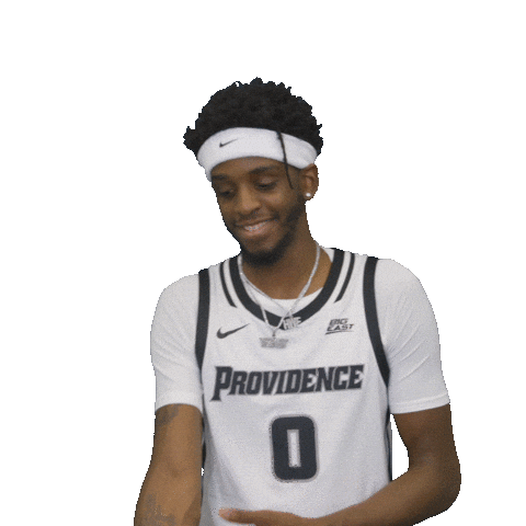 Basketball Ice Sticker by Providence Friars