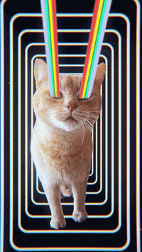 Loop Glitch GIF