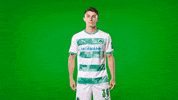 Pointing Kleeblatt GIF by SpVgg Greuther Fürth