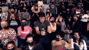 Faro Dancagatinho GIF by Record TV