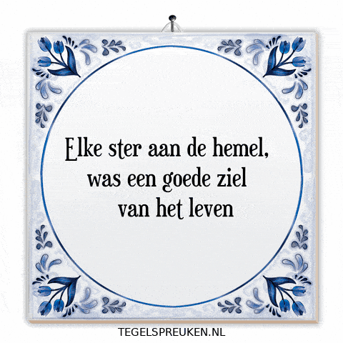 Nl Wijsheid GIF by Tegelspreuken.nl