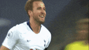 spurs official GIF by Tottenham Hotspur