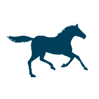 Horse Sticker by Pferdesporthaus Loesdau