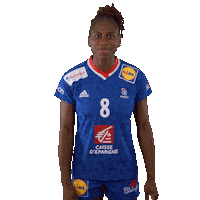 Ffhandball Sticker by Fédération Française de Handball