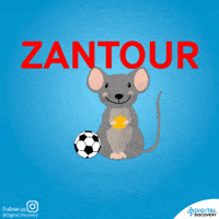 Club Africain Mouse GIF by Digital discovery