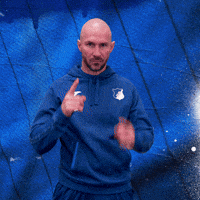 Sport Bundesliga GIF by TSG Hoffenheim