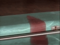 nickrewind nicksplat are you afraid of the dark the tale of the dead mans float GIF