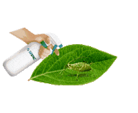 Goyalab goya pragas siltac Sticker