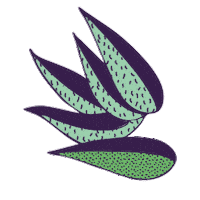 Beach Plants Sticker by Bomboclat Festival
