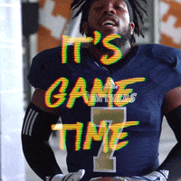 Game Football GIF by FIU