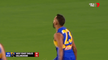 footy celebrations GIF by AFL