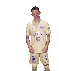 Soccer Team Sticker by Club America