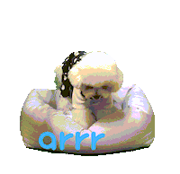 아르르 Sticker by arrr_official